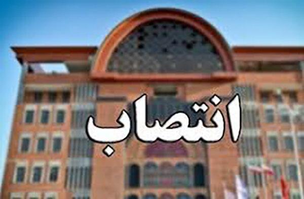 انتصاب پنجمین بخشدار زن در استان بوشهر انتصاب پنجمین بخشدار زن در استان بوشهر
