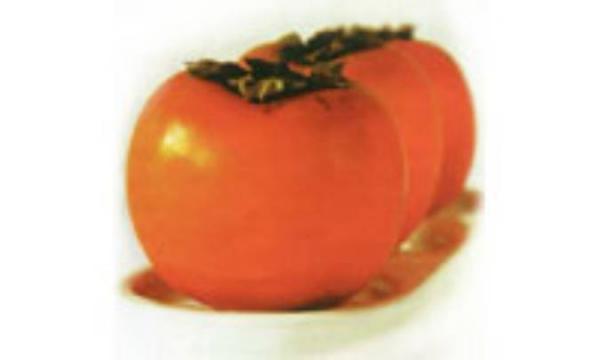 خرمالو، هدیه پاییز