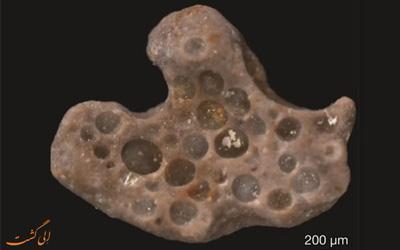 کشف نفس های 1.6 میلیون ساله که داخل یک سنگ محبوس بودند!