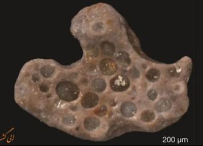 کشف نفس های 1.6 میلیون ساله که داخل یک سنگ محبوس بودند!