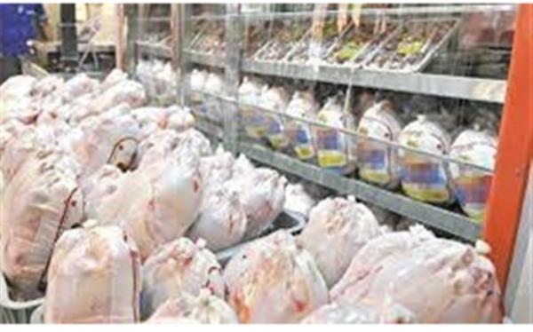 توزیع روزانه 8 هزار تن مرغ در سراسر کشور