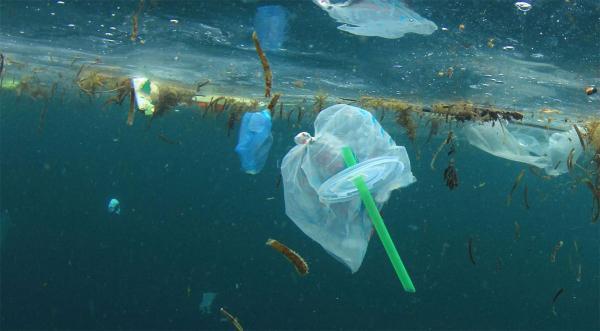 باکتری های پلاستیک خوار راهی برای پاکسازی دریاها